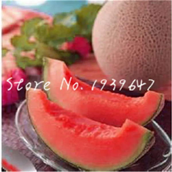 118AC8BFF2033D451351BCFAF4B2E15E