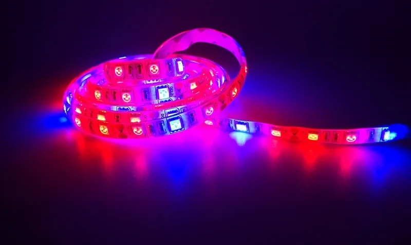 ReBlue Plant light  Led Bulbs Seedling grow light plant lamp 660nm 450nm SMD 5050 Grow strip 12V Waterproof for hydro grow tent