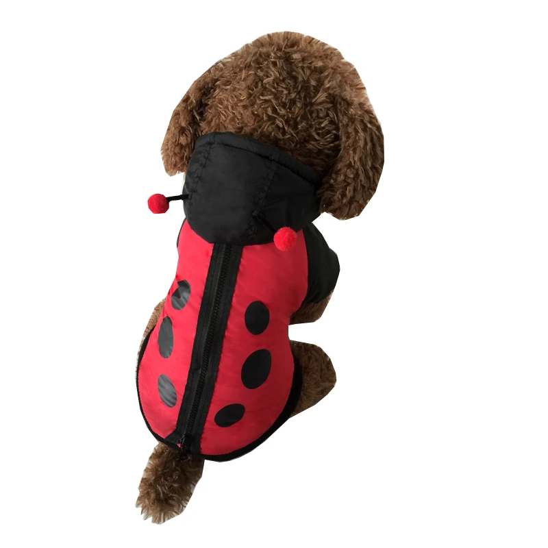 Pet Costumes Dog Jacket Cloth for Dogs Cute Ladybug windbreaker Style Pet Puppy Dog Clothes Teddy Dogs Vip Chihuahua Qiu Dong Outfit