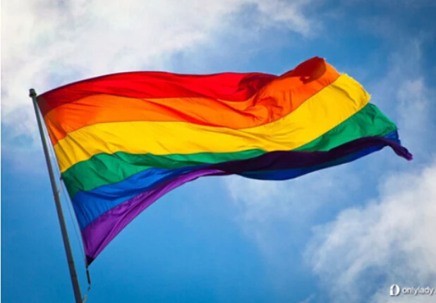 

2019 Rainbow Flag 90x150cm 3x5feet 100% Polyester Lesbian Gay Pride LGBT Fancy NICE Quality / Gay Freedom Day Parade