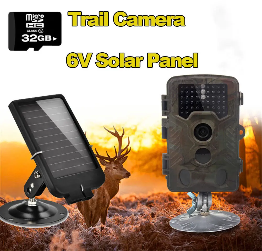 Free Shipping 32GB H801W 12MP Infrared IR Digital Trail Game font b Hunting b font Camera