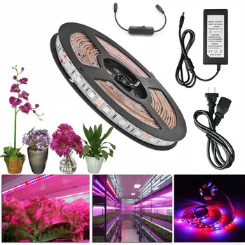 

5M LED Phyto Lamps Full Spectrum LED Strip Light 300 LEDs Power Supply Adapter Switch for Greenhouse Plant Flowers Vegetables
