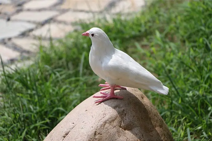 Новый Моделирование розовый рот dove жесткий модель полиэтилен и меха Белый Мир птица игрушка украшение дома около 20x12x18 см s2901