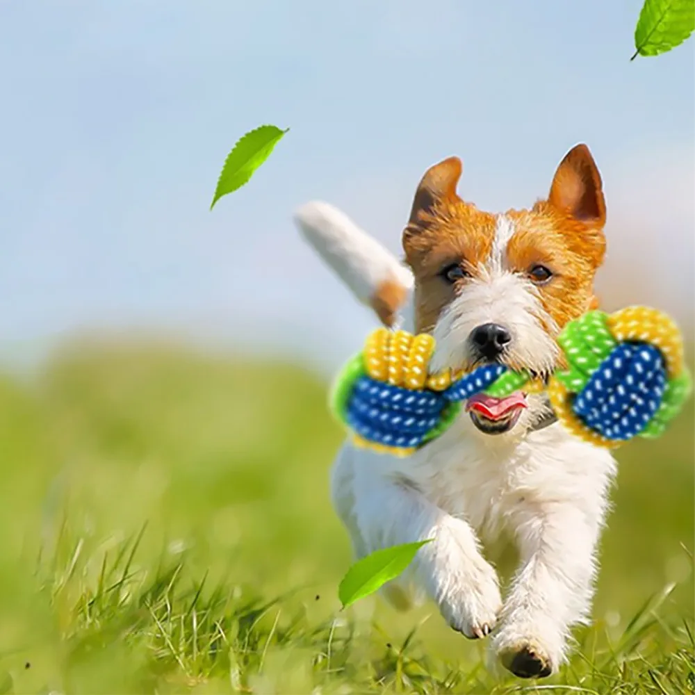 Hot sale Pet Toys for dog funny Chew Knot Cotton Bone Rope Puppy Dog