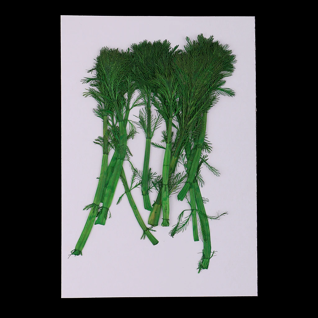 

24 Pieces Pressed Green Leaves Mixed Styles for Scented Candle Making Handmade Soap Decors Card Making Album Scrapbook DIY