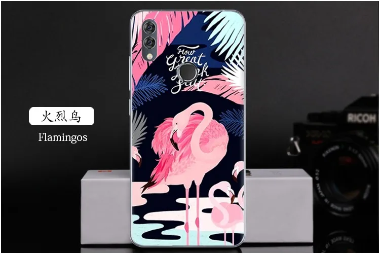  Flamingos