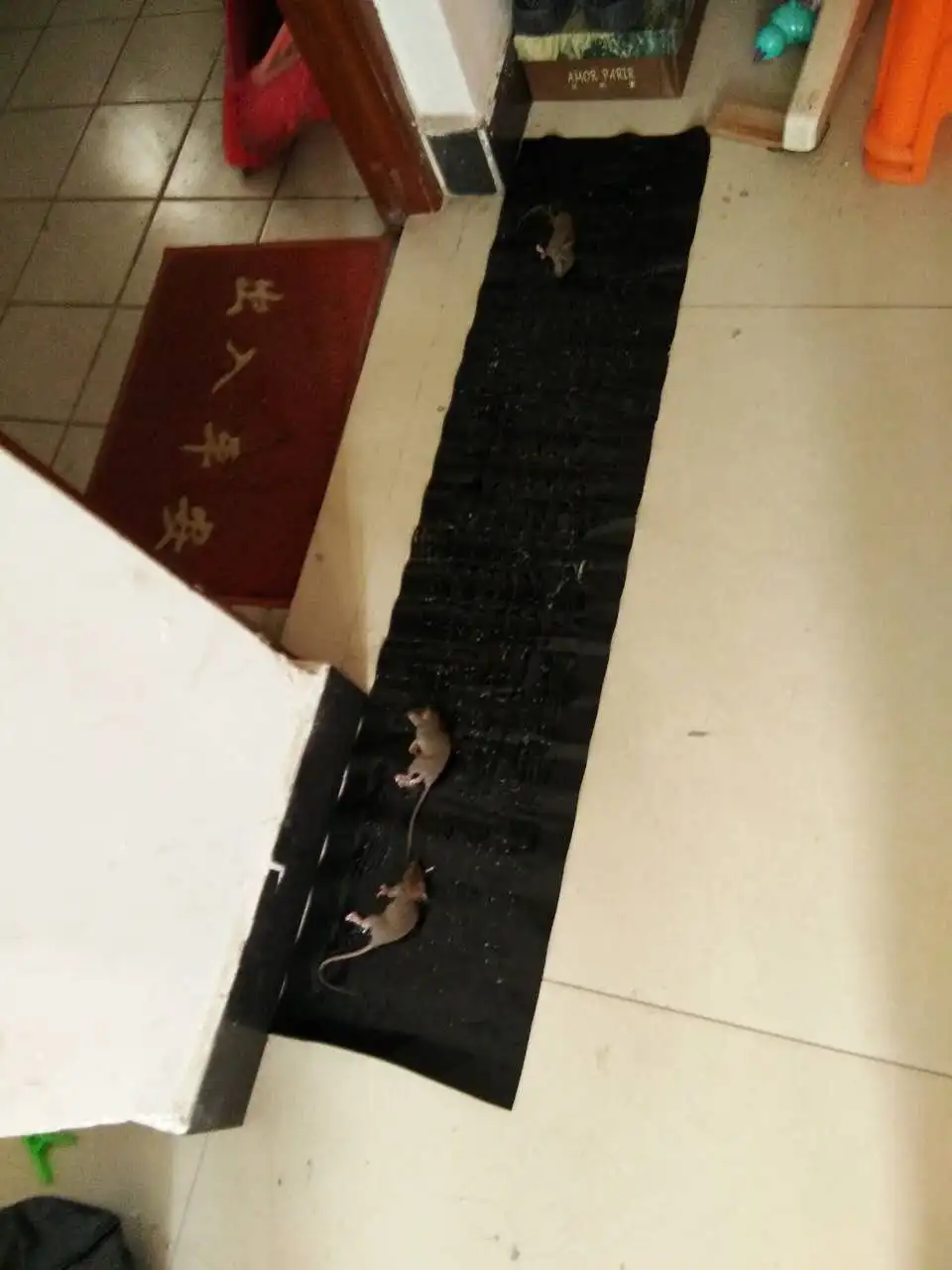 200cm*40cm Sticky Rat Glue Trap Mouse Glue Board Mice Catcher Trap Non-toxic Pest Reject Rat Killer Pest Repeller 200cm*40cm Sticky Rat Glue Trap Mouse Glue Board Mice Catcher Trap Non-toxic Pest Reject Rat Killer Pest Repeller