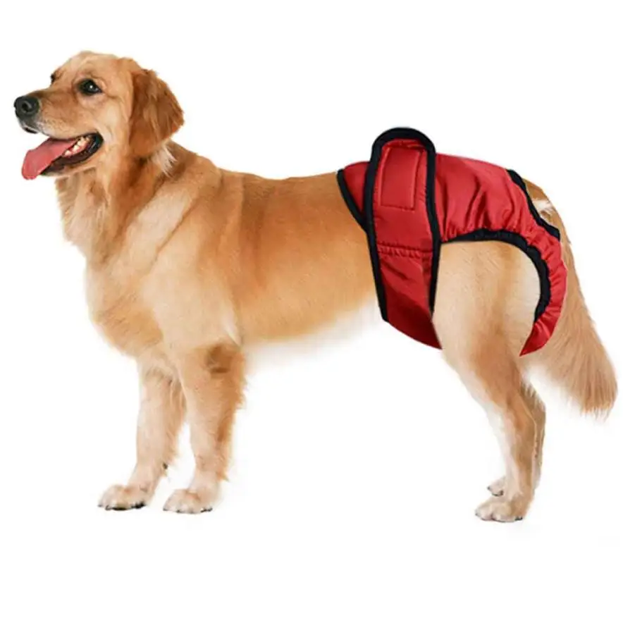 YCC70620555_20170620024555514