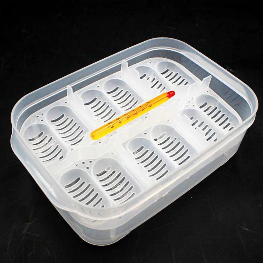12 Holes Professional Reptile Egg Incubation Tray Lizard Snake Chicken Eggs Hatching Tool With Thermometer Incubator Box 12 Holes Professional Reptile Egg Incubation Tray Lizard Snake Chicken Eggs Hatching Tool With Thermometer Incubator Box