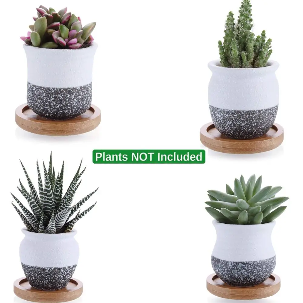 New Mini Small Ceramic Succulent Plant Pot Flower Planter Holder Cactus 2.25 In