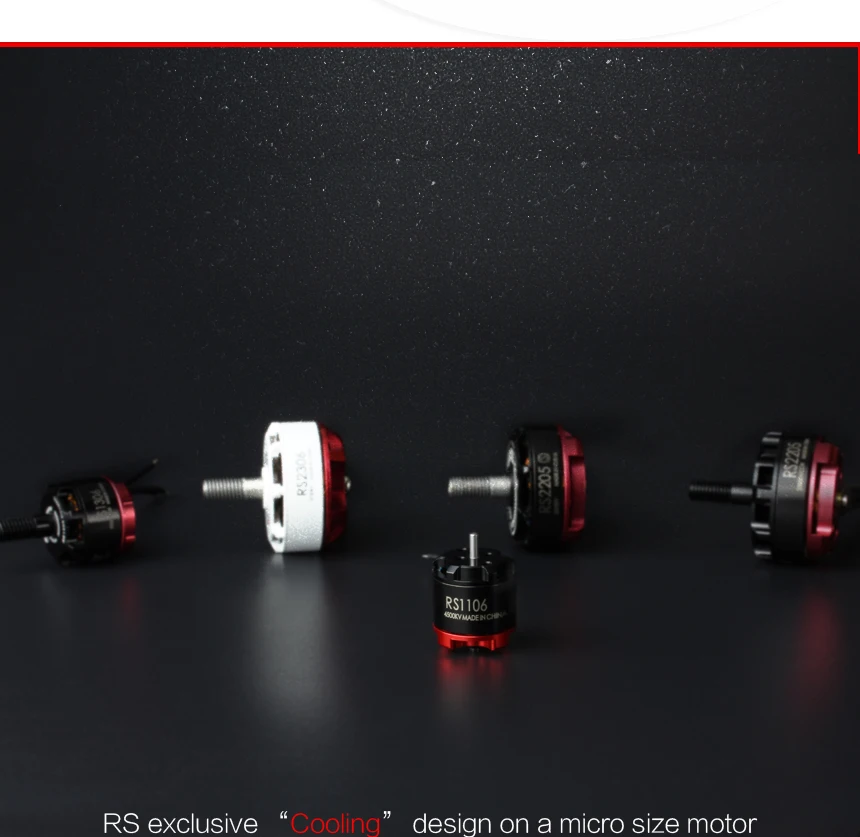 RS1106 MOTOR (4)