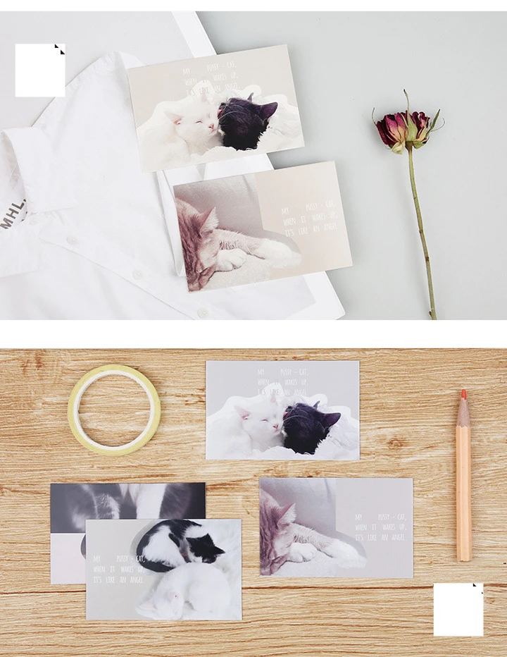 4434372834_505222120