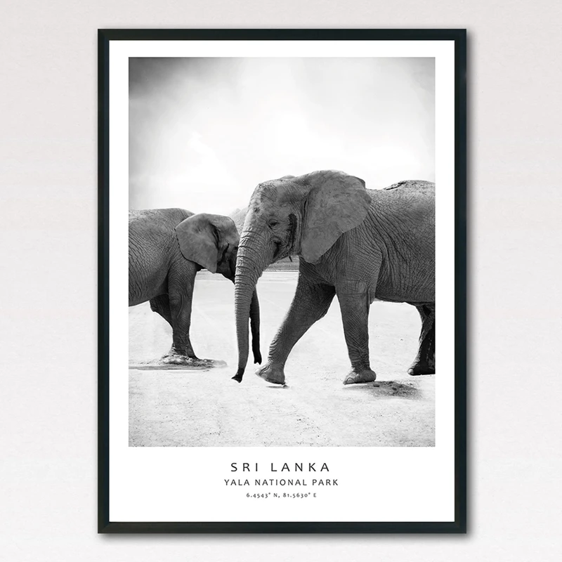 Elephant Canvas Art Prints Home Decor