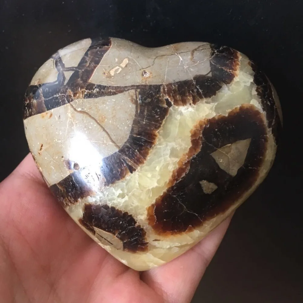 微信图片_201906281027471