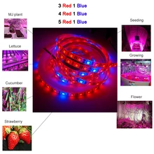 DC12V 5M Phyto Lamps Full Spectrum LED Strip Light 300 LEDs 5050 Chip LED Fitolampy Grow Lights For Greenhouse Hydroponic plant