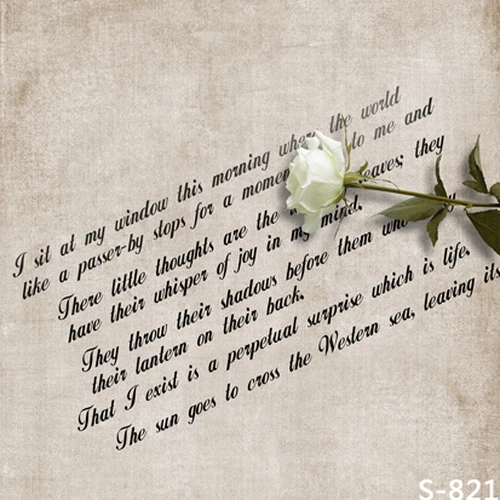 1.5(W)x1.5(H)m Theme Scene Photography Background Prop Promotion White Rose Letters Backdrops Nice Vinyl 5x5ft | Электроника
