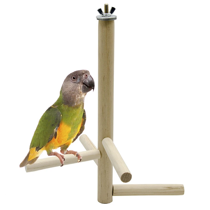 

Traumdeutung Parrot Toys For Bird Ladder Accessories Stand Cage Decoration Cockatiel Perch Toy Budgie Parakeet zitstokken vogels