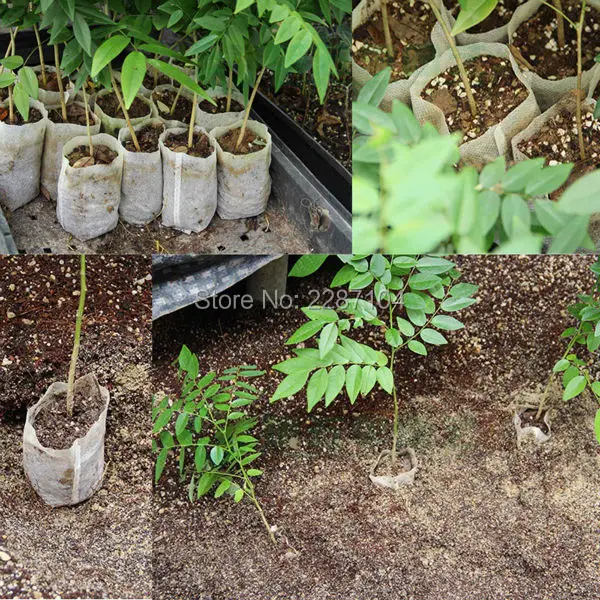 25pc Flower Plant Green Organic Vegetable Seed Germinate Seedling Sprout Cutting Clone Grow Pot Non-woven Fabrics Bag Breathable