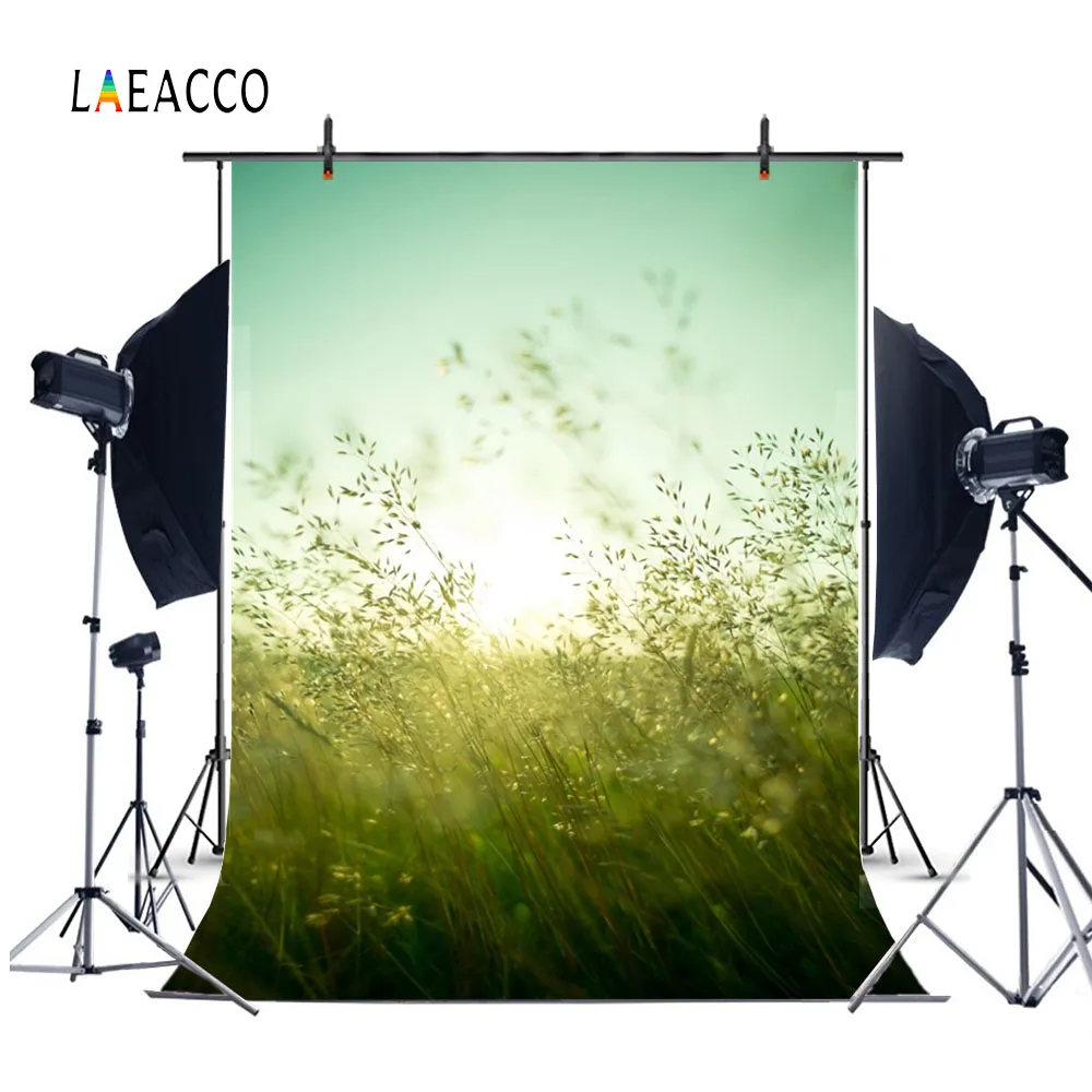 Laeacco фотофоны дикий весенний зеленый луг блестящий свет обои Живописный фон для