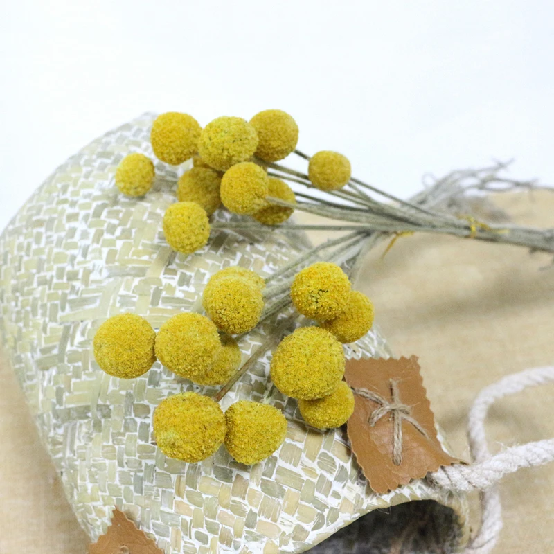 JAROWN Natural Dried Flowers Gold Ball Eternal Flores For Wedding DIY Bouquet Decorations Home Flower Arrangement Art (14)