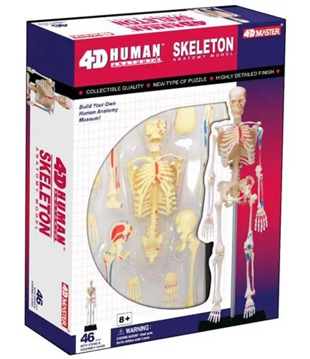4D мастер медицинский Тигр анатомия модель череп анатомическая модель скелета Зубы Модель с esqueleto humano anatomia
