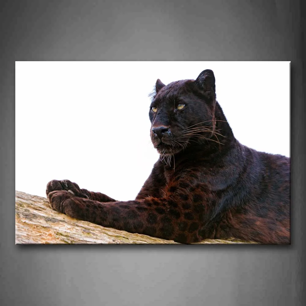

Unframed Wall Art Pictures Black Panther Wood Canvas Print Animal Posters No Frames For Living Room Home Office Decor