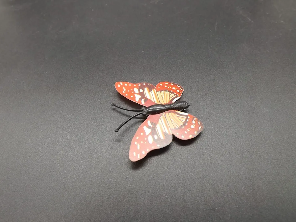 I257-Butterfly (7)