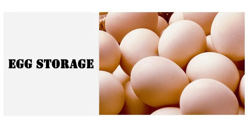 Egg storage box (7)