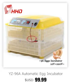 Made in China CE Certificate Poultry Hatchery Machines 48 Automatic Egg Turner 220 12V Hatching Incubators for Sale