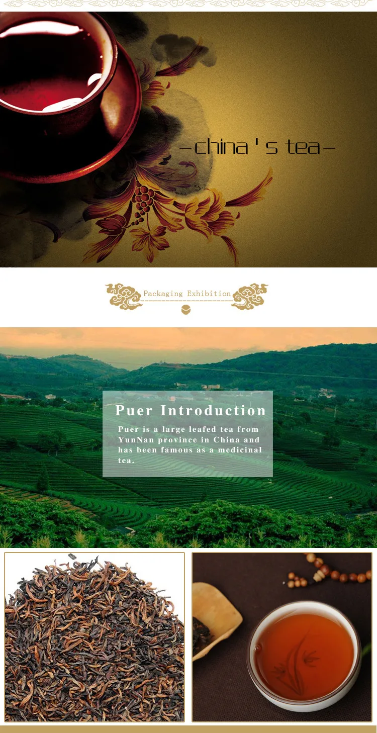 puer_03