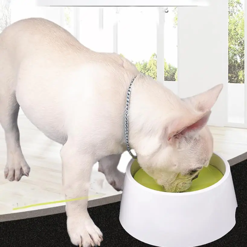 Buy 2 in 1 Anti Spill No Spill Dripless Water Food