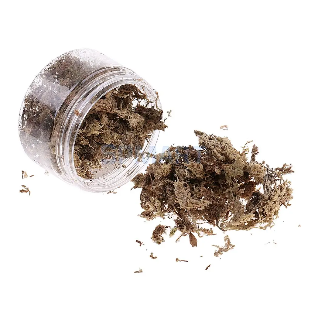 100ML/500ML Dry Grass Model Moss for Layout Terrain Vegetation Diorama Building Toy