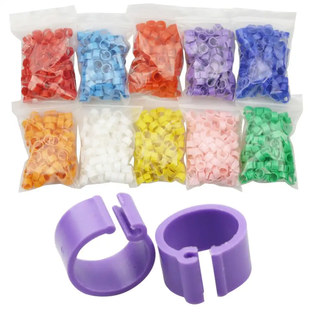 100 pces diâmetro interno 8mm pássaro pombo pé anel dez cores sem texto peso leve liberdade de ação aves de capoeira anel transporte
