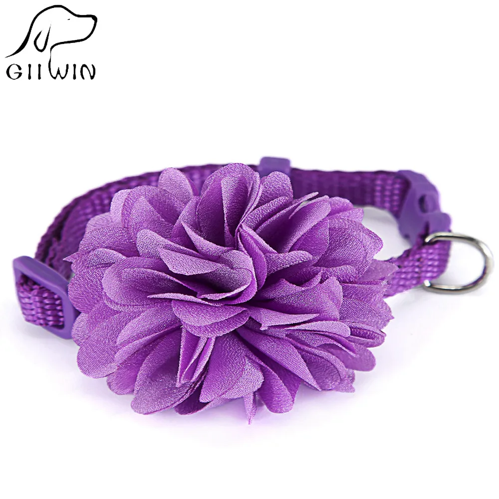 Flower Cat Collar Breakaway Adjustable Dog Collars Leash for Small Dogs