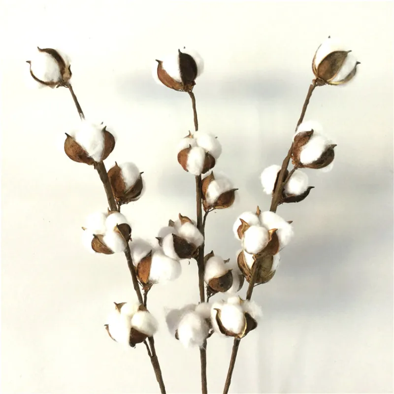 Buy Artificial Flowers Dried Flower White Cotton