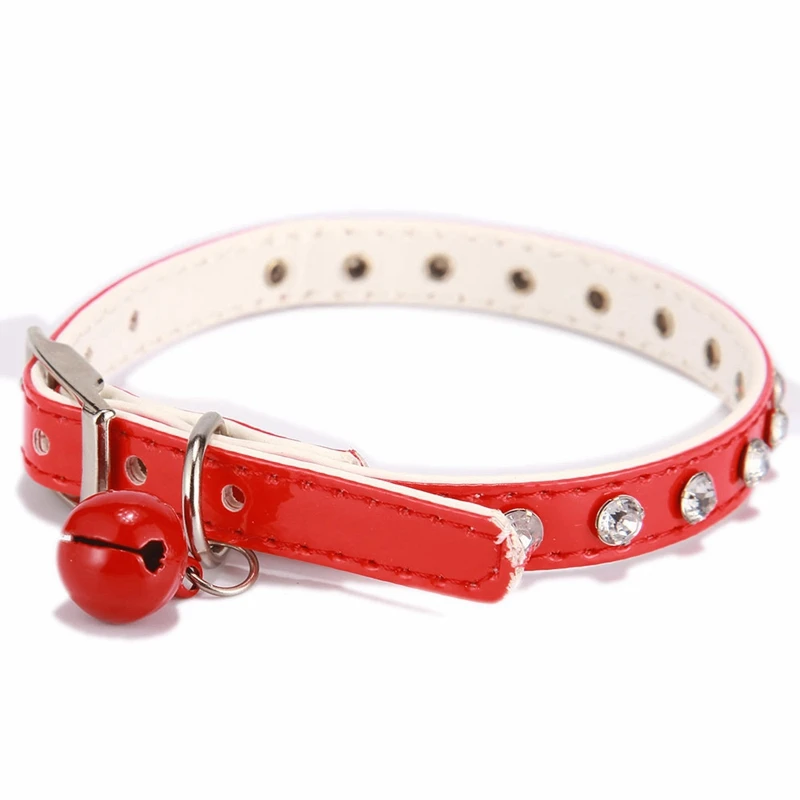 dog collar (6)