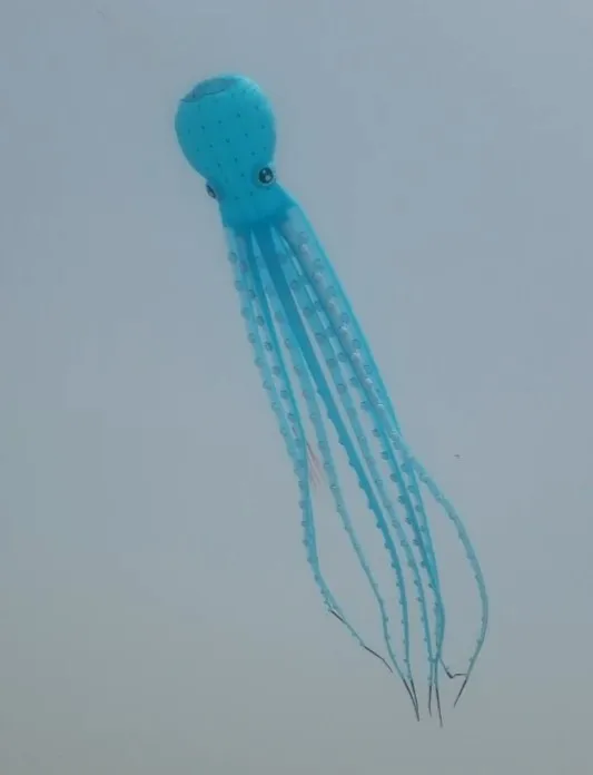 

kites for adults big papalotes pulpo rainbow kite windvane minions giant kite adult octopus bag long line fishing kiting