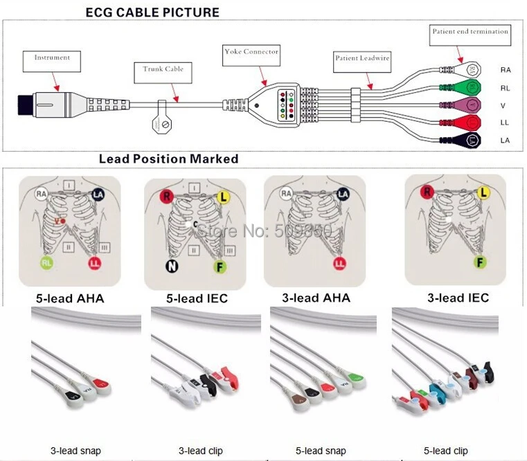 ECG .jpg