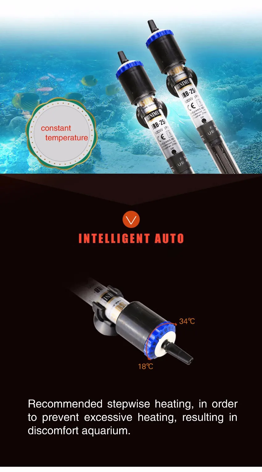 2144609100_664736869