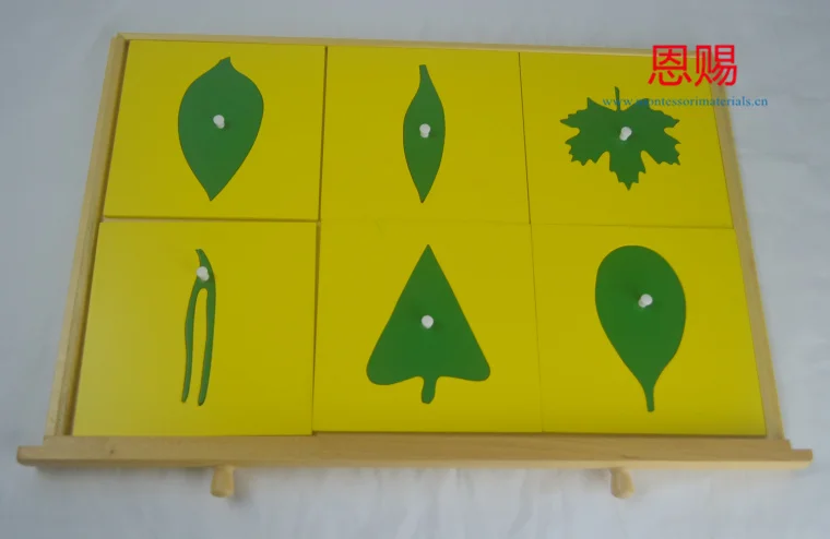 7027 leaf cabinet  (4)