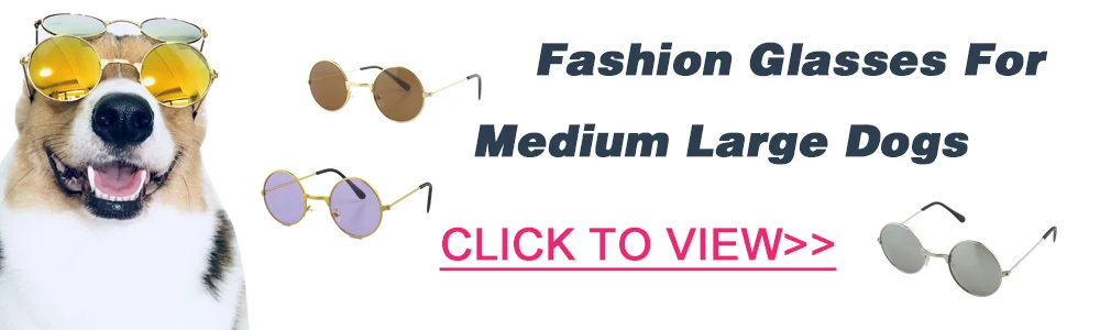 dog glasses banner