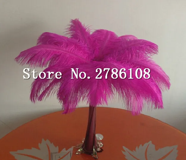 Us 64 45 5 Off Hot 50pcs 40 45cm 16 18 Inch Fuschia Ostrich Feather Plumage Dresses Wedding Party Decoration Centerpieces Wholesale In Feather