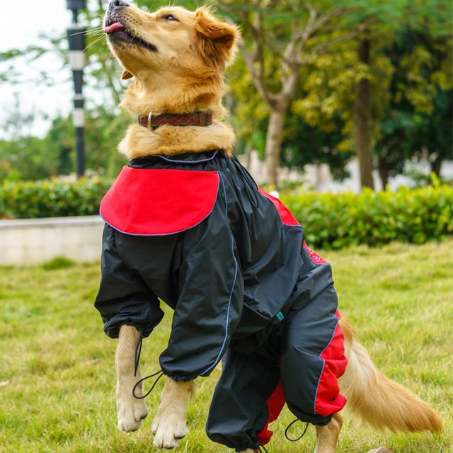 Manteau de pluie pour chien moyen sale