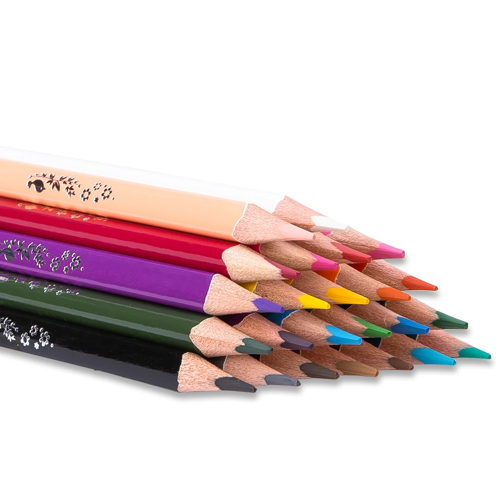 “ Conjunto de Estanho para Artistas Clássico Desenho, Esboço, Premium 100
