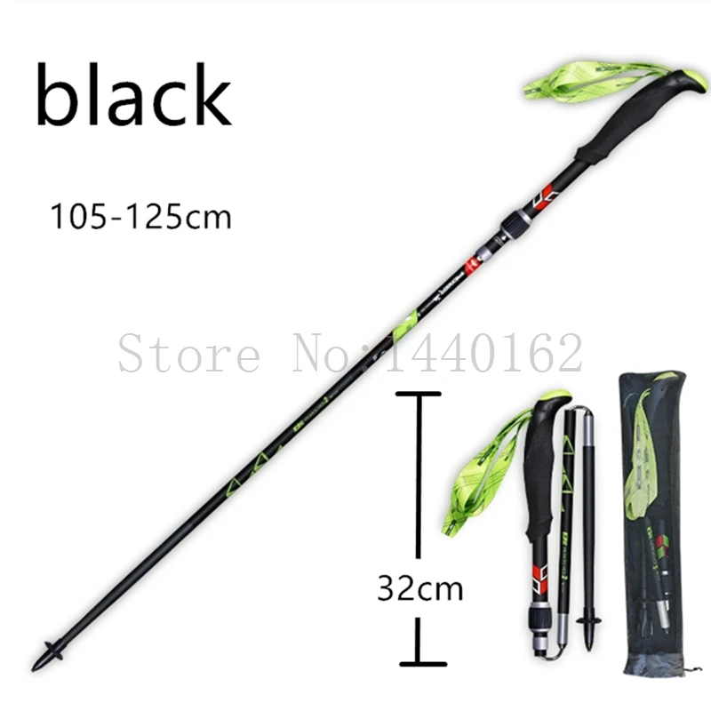 TP063 walking sticks (7)