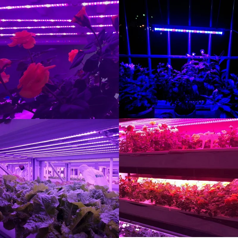 ReBlue Led Grow светильник расти светодиодные лампы 7 Вт растительная лампа для выращивания светильник для растений полный спектр для выращивания растений в помещении AC220V T5 лампы для растений