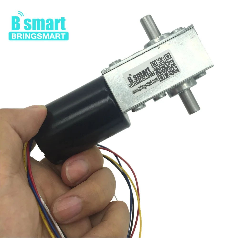 Bringsmart 5840-3650 DC мотор-редуктор 12V червь Шестерни мотор 24 бесщеточный электродвигатель постоянного тока с двойным валом мини Шестерни коробка с встроенной функцией спуска затвора тормоз двигателя