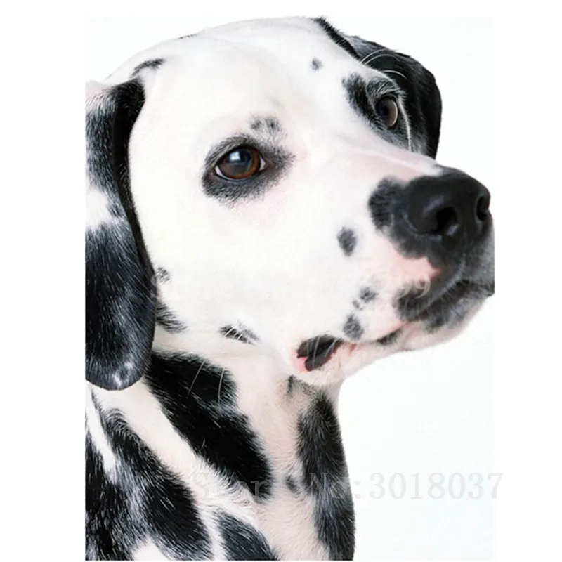 

Diamant Diy 5D Diamond Painting Cross Stitch Concentrated Dog Needlework Diamond Embroidery Full Diamond Decorative Stickers Kit