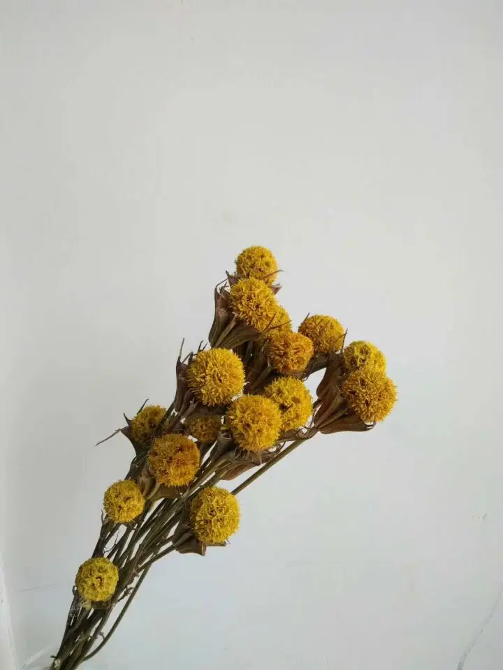 QQ20180408141444