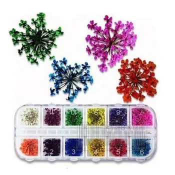 

36 PCS Nail lace dried flowers three - dimensional dry flower nail flower 12 color nail dried flowers #1165